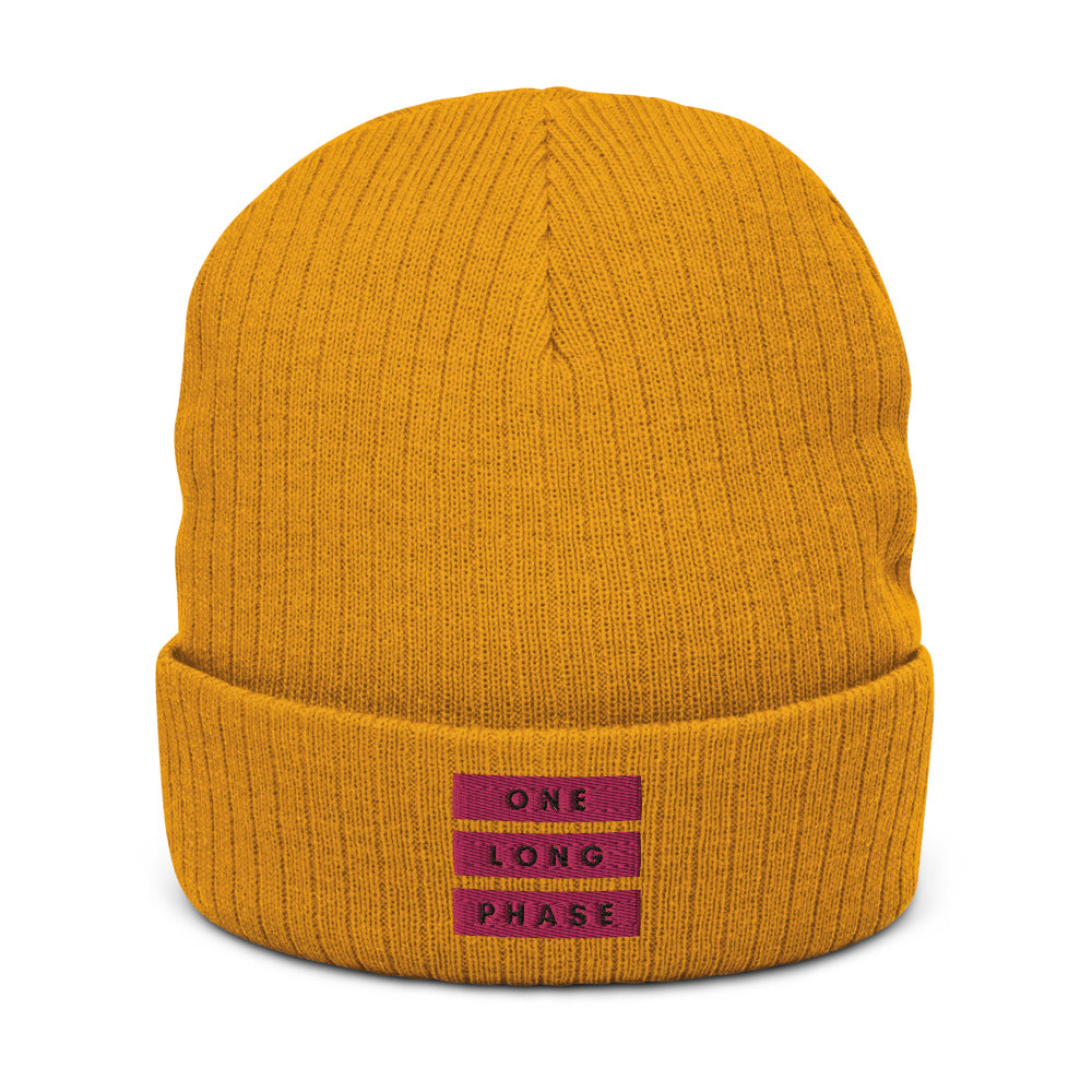 One Long Phase | Beanie
